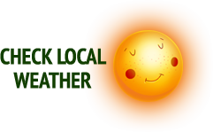 Check Local Weather